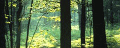 Conservation
